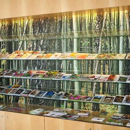 Haus Marillac Гостевой дом Инсбрук