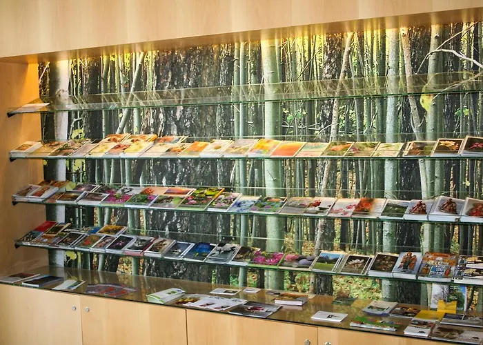 Haus Marillac בית הארחה אינסברוק